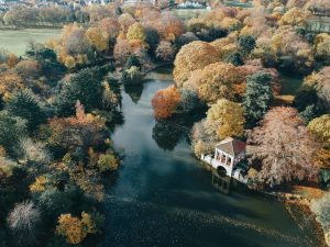 Aerial shot of autumnal tress and a lake