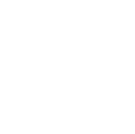 BFI Logo